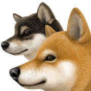 As expected! Shiba Inu [Smile]