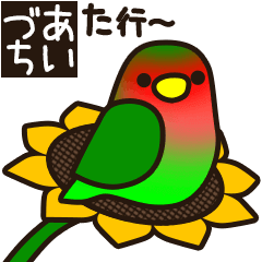 Lovebird [Ver6](move/response No.2)