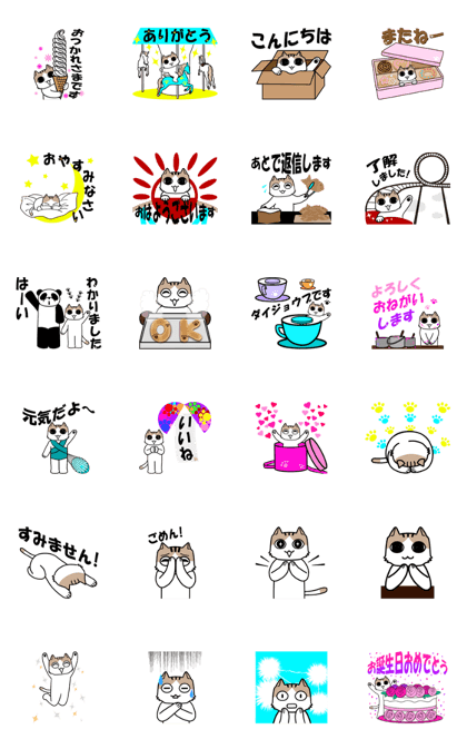My cute cat is moving!