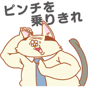 Neko Jiro kakarityo
