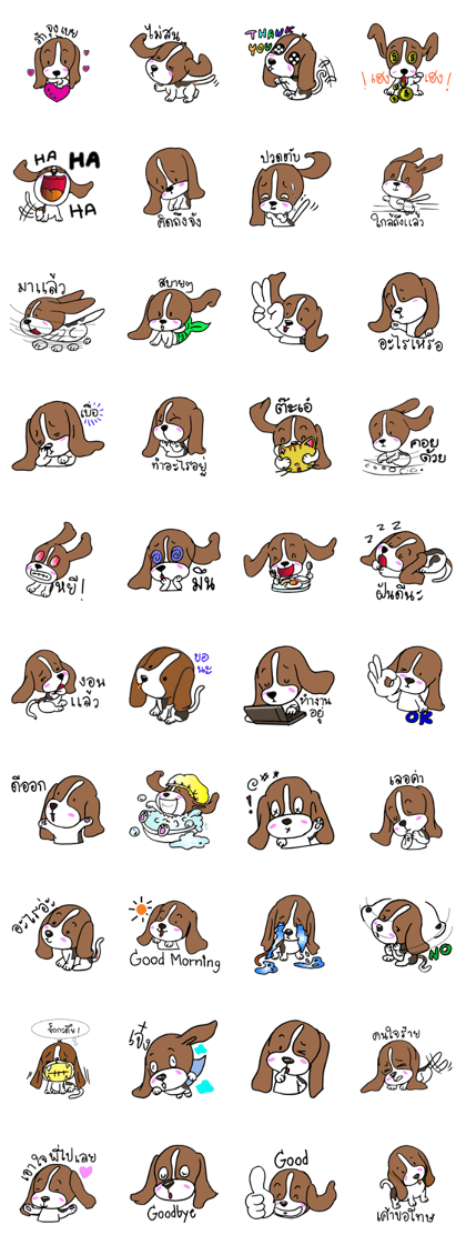 the cute Puppy