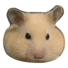 CHISA_20200827141731