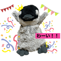 penguin_20200825211357