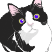 Lovely kitten animation sticker
