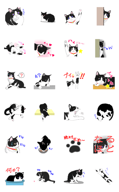 Lovely kitten animation sticker