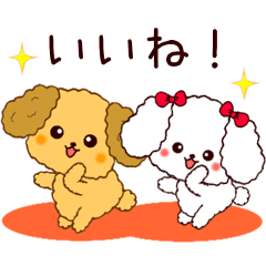 Dancing toy poodle
