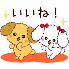 Dancing toy poodle