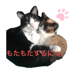 mochi_20200827160625