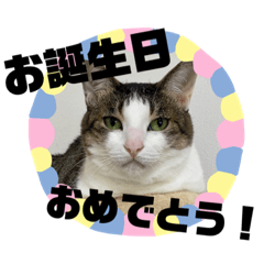 nonnyans_20200827135818