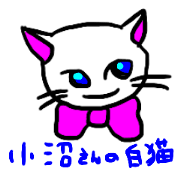 Onuma or Konuma's white cat
