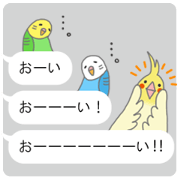 Speach bubbles of cute birds