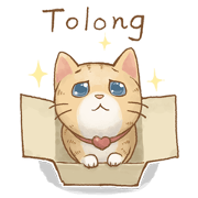 Cat's LifeStyle(Indonesian Ver.)
