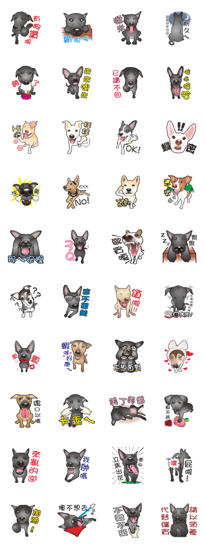 I love Taiwan Dogs