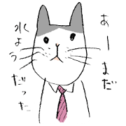 shachikuneko