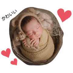 sumire_20200827170251