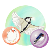 Little birds ball