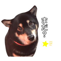 まるちゃんVer.2