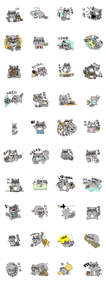 the Raccoon