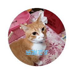 tonton_20200827184036