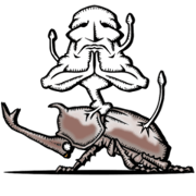 Cordyceps diary 2 beetle