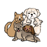 groovy dogs