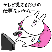 Rabbit sometimes cat 2