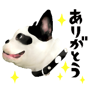 French Bulldog talk sticker