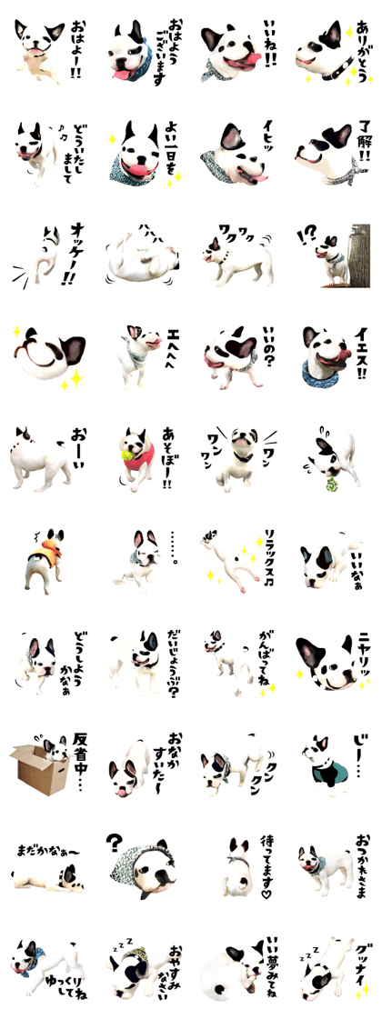 French Bulldog talk sticker