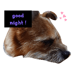 CHERRY_20200827182343