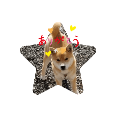 ACEeveryday