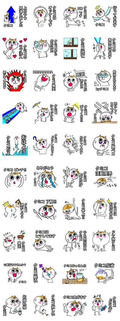 Very cute white cat of Kumiko