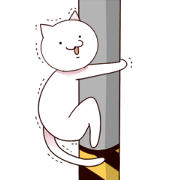 Freedom daily life of the cat