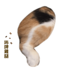 肥肥Bubu2