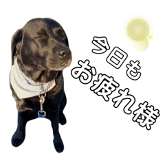 かのんちゃんVer.1