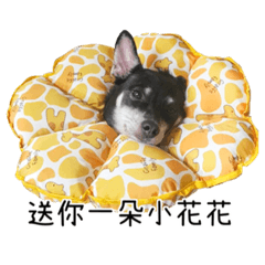 阿肉的好用貼圖