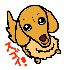 Miniature Dachshund dog Choco sticker