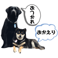 かのんちゃん&まるちゃん