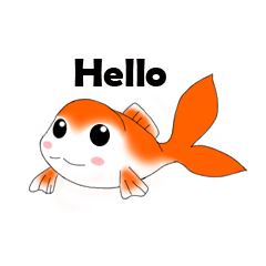 Goldfish daily