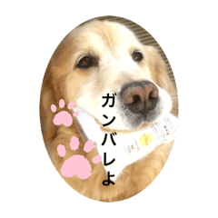 スカイ、長生きしてね。