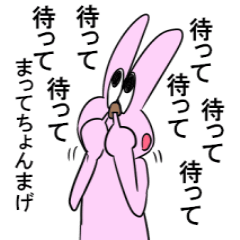 Is noisy face rabbit
