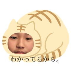 kitty_20200828174309