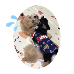 mizuki_20200828173454