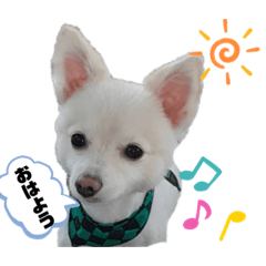 cocoa_20200828181353