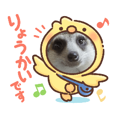 SANAE_20200829063334