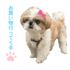 aikochan very cute stamp