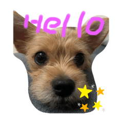 AKIKO_20200828220555