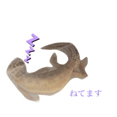 yuina_20200828234351