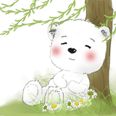 北極熊系列09-棉花球的夏天日常用語