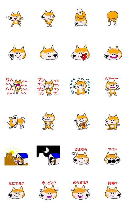 Shiba inu MOMO chan the third as well 5