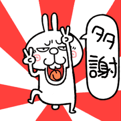 Angry rabbiitt2[Taiwan]